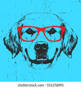 Portrait of Golden Retriever with glasses. Hand drawn illustration. Vector.