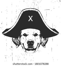 Retrato de Golden Retriever con sombrero pirata. Vector. 