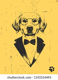 Portrait of Golden Retriever in suit, hand-drawn illustration