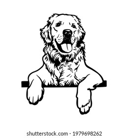 Portrait Of A Golden Retriever With A Tongue.
Clipart File For Cutting Vinyl Stickers