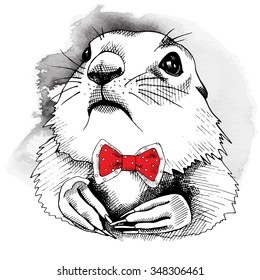 Portrait of a gopher in red tie. Vector illustration.