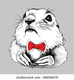 Portrait of a gopher in red tie. Vector illustration.