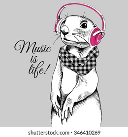 Portrait of a gopher wearing checkered cravat in pink headphones. Vector illustration.