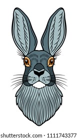 Portrait of a gray  rabbit