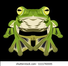 Portrait of a green frog