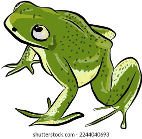 retrato de una ilustración vectorial de rana verde
