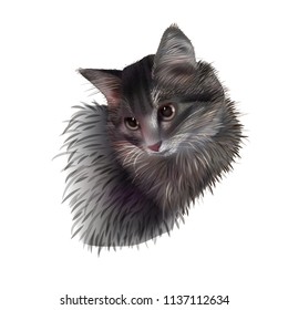 Portrait of grey cat
