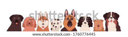 Portrait group of funny dogs different breeds posing together vector flat illustration. Cute colorful domestic animals isolated on white background. Various amusing purebred doggy