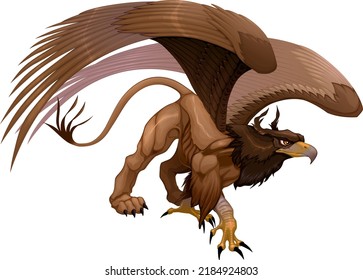 Portrait of a gryphon, half eagle and half lion. Vector isolated character
