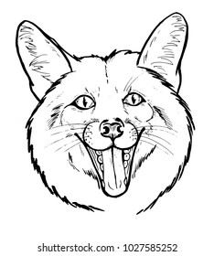 portrait of happy Fox, graphic black and white vector illustration