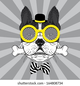 Portrait of Happy French Bulldog in bowler hat, big round glasses and striped bow with bone