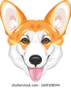 Portrait of a happy welsh corgi. Vector