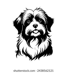 Portrait of a Havanese Dog Vector isolated on white background, Dog Silhouettes