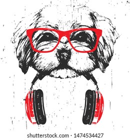 Portrait of Havanese with glasses and headphones. Hand-drawn illustration. T-shirt design. Vector