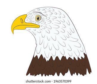 Portrait of the head of a bald eagle in profile in isolate on a white background. Vector illustration.