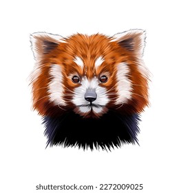 Portrait the head small red panda from multicolored paints  Splash watercolor  colored drawing  realistic  Vector illustration paints