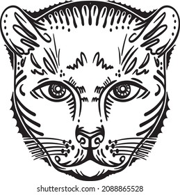 Portrait of head Tiger. Vector illustration