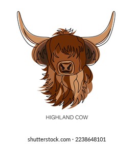 Portrait of Highland cattle, cow. Cute head of Scottish cattle isolated on white background. Design element for logo, poster, card, banner, emblem, t shirt. Vector illustration.