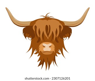 Portrait of Highland cattle, cow. Cute head of Scottish cattle isolated on white background. Design element for logo, poster, card, banner, emblem, t shirt. Vector illustration.