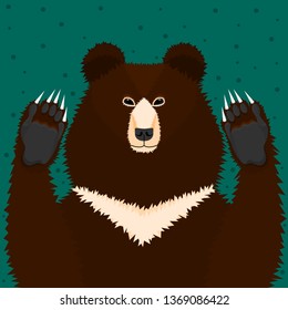 Portrait of a himalayan bear with paws.