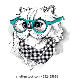 Portrait of Himalayan cat with big eyes in glasses and cravat. Vector illustration.