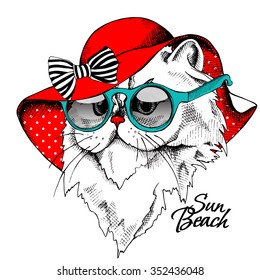 Portrait of Himalayan cat in a red Summer Sun Hat with glasses. Vector illustration.