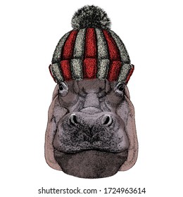 Portrait of hippopotamus, hippo. Knitted wool winter hat.