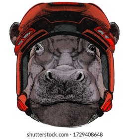 Portrait of hippopotamus, hippo. Wild african animal.