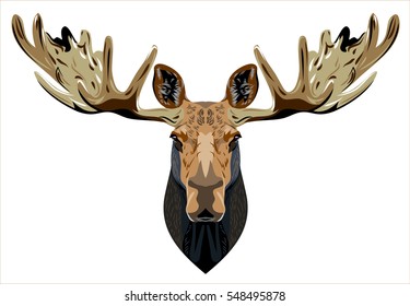 Portrait of a horned elk