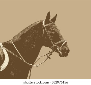 Portrait of a horse in bridle with a snaffle bit in retro style. Vector isolated on a beige  background. Realistic illustration of a saddled horse svg