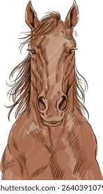 Portrait of a horse — brown graphic illustration. Illustration of a horse's head and chest in brown tones. Front view, expressive look, dynamic mane lines, stylized touch.