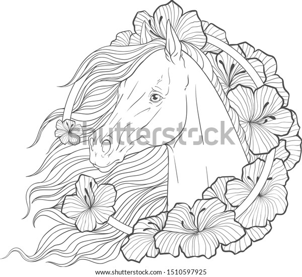 portrait horse flowers horseback riding coloring stock