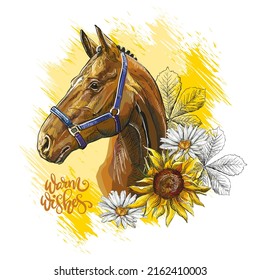 Portrait of a Horse and flowers. Warm wishes lettering quote. Hand drawn style print. Vector illustration isolated on white background. T-shirt composition, print, design, stickers, sublimation, decor