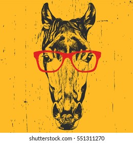 Portrait of Horse with glasses. Hand drawn illustration. Vector