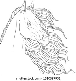 Portrait of a horse. Horseback Riding. Coloring page.