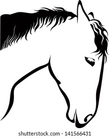 Portrait of a horse isolated on a white background