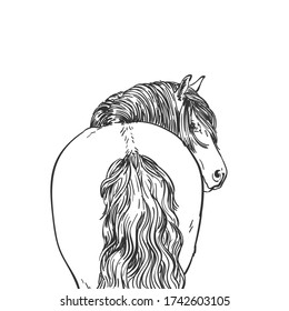 Portrait Horse Long Mane Looks Back Stock Vector (Royalty Free ...