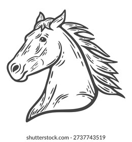 Portrait of a horse, mare mane, head, farm animals, lifestock engraving isolated
