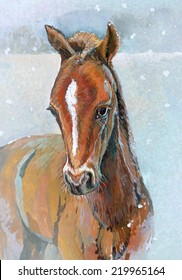 portrait of horse in snow in watercolor style