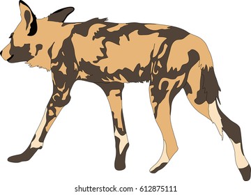 Portrait of a hungry and firerce wild dog, hand drawn vector illustration isolated on white background