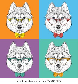 Portrait of husky in baseball cap with glasses. Pop art style vector illustration.