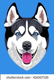 Portrait of a Husky dog breed