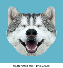 Portrait of a husky dog, low-poly design. Vector illustration of a triangle.