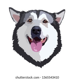 portrait husky vector image