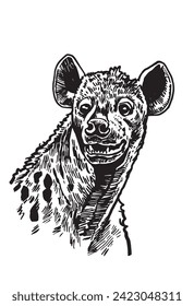 Portrait of hyena on white background, vector illustration