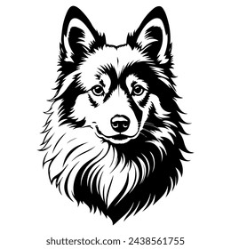 Portrait of a Icelandic Sheepdog Dog Vector isolated on white background, Dog Silhouettes. svg