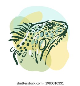 Retrato de una iguana. Dibujo simple hecho a mano. Dibujo de un animal sobre un fondo de color.