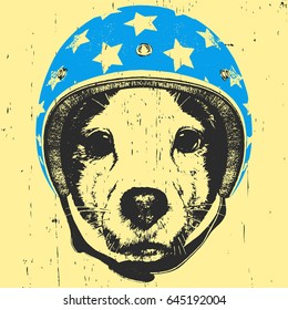 Portrait of Jack Russell with Helmet. Vector