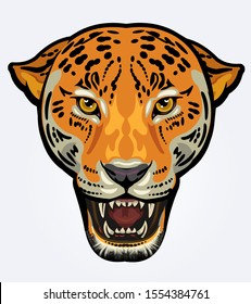 Portrait of Jaguar. Angry face of Big cat 