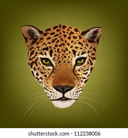 portrait of jaguar vector